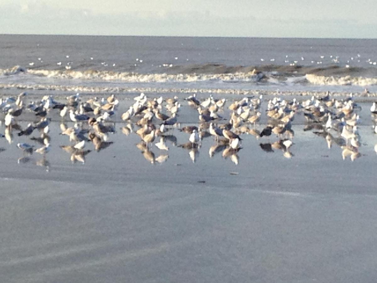 Strand En Meer Katwijk aan Zee Exteriér fotografie